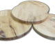 zyro-image